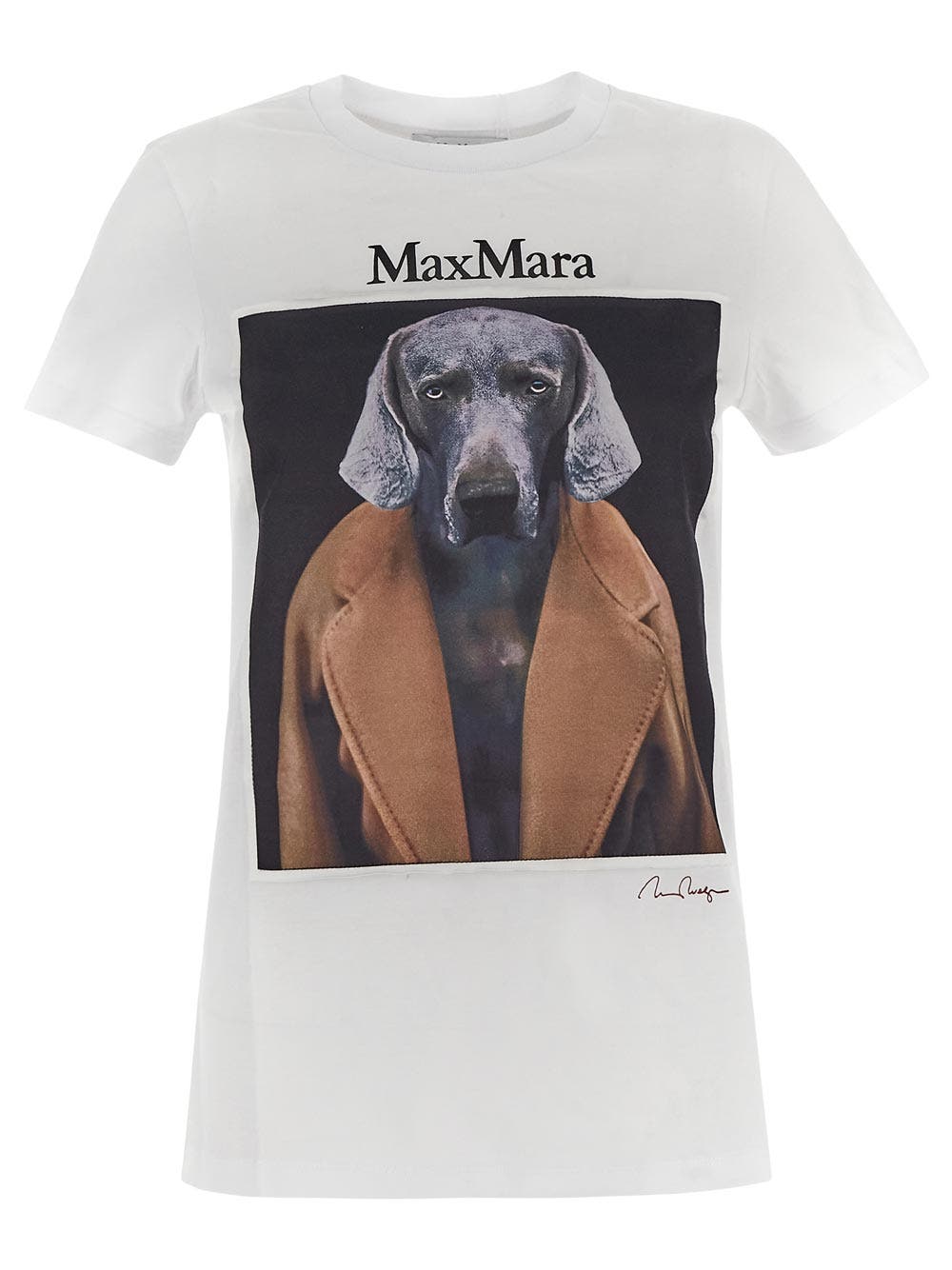 Oluxury Max Mara Cipria T-Shirt Acquista Ora
