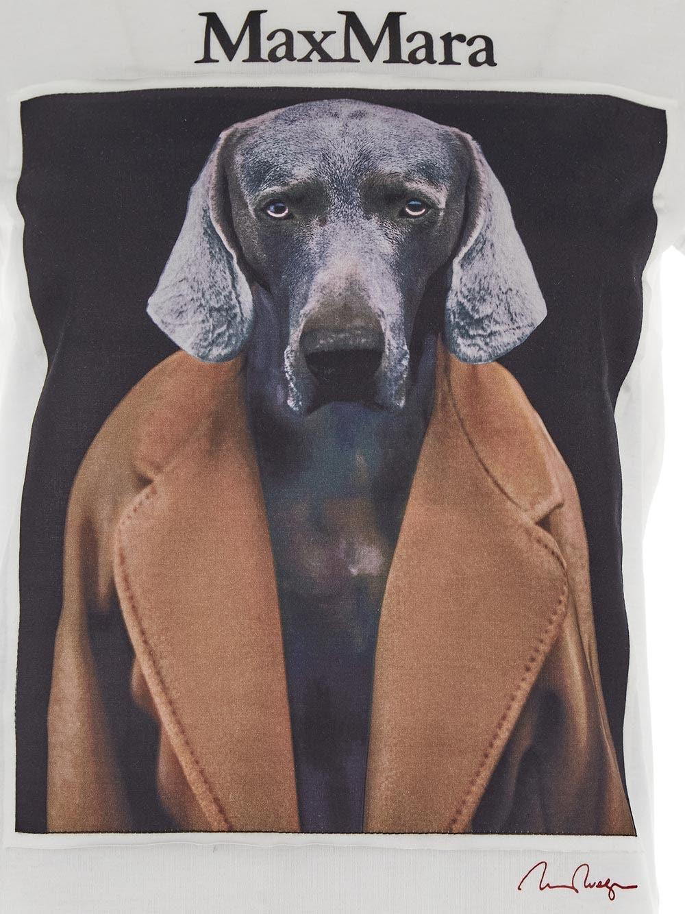 Oluxury Max Mara Cipria T-Shirt Acquista Ora