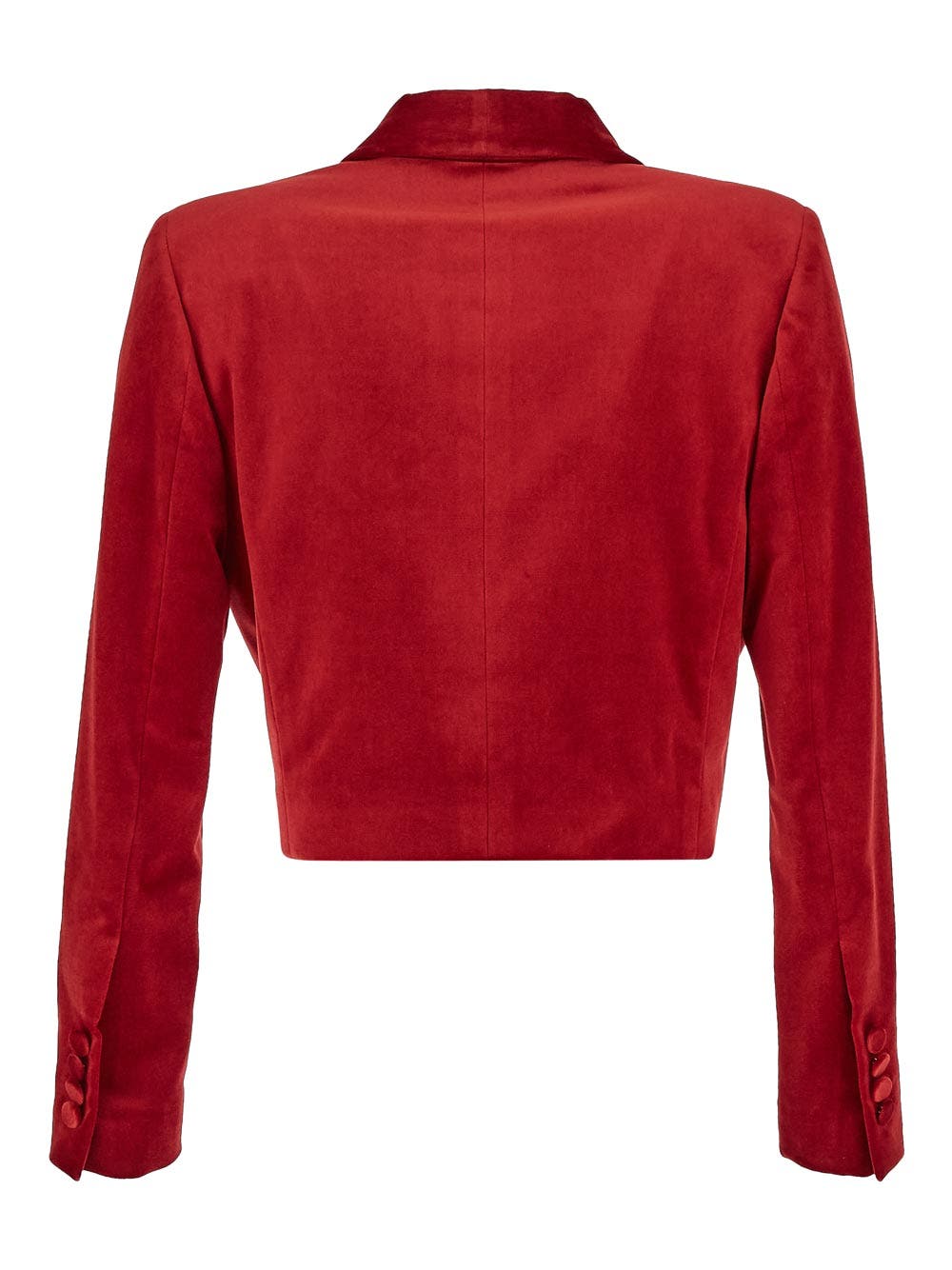 Oluxury Lardini Bolero Jacket Latest fashion