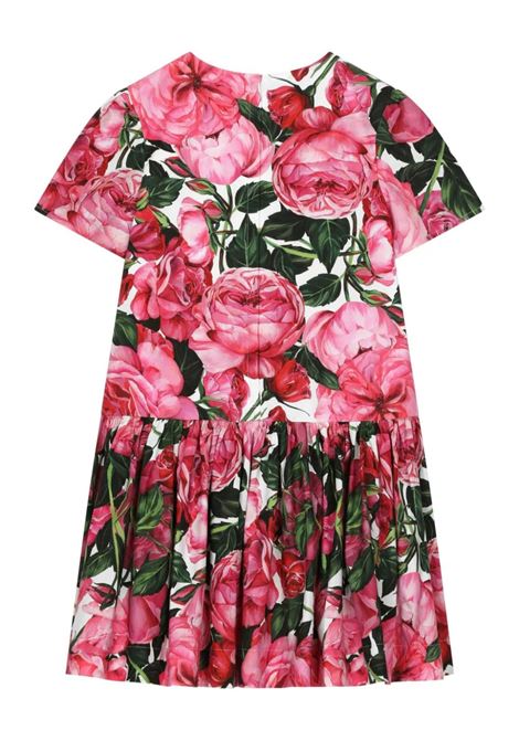 DOLCE & GABBANA KIDS Abito Con Stampa Di Rose Su Sfondo Bianco - DOLCE & GABBANA KIDS Prezzo Ridotto