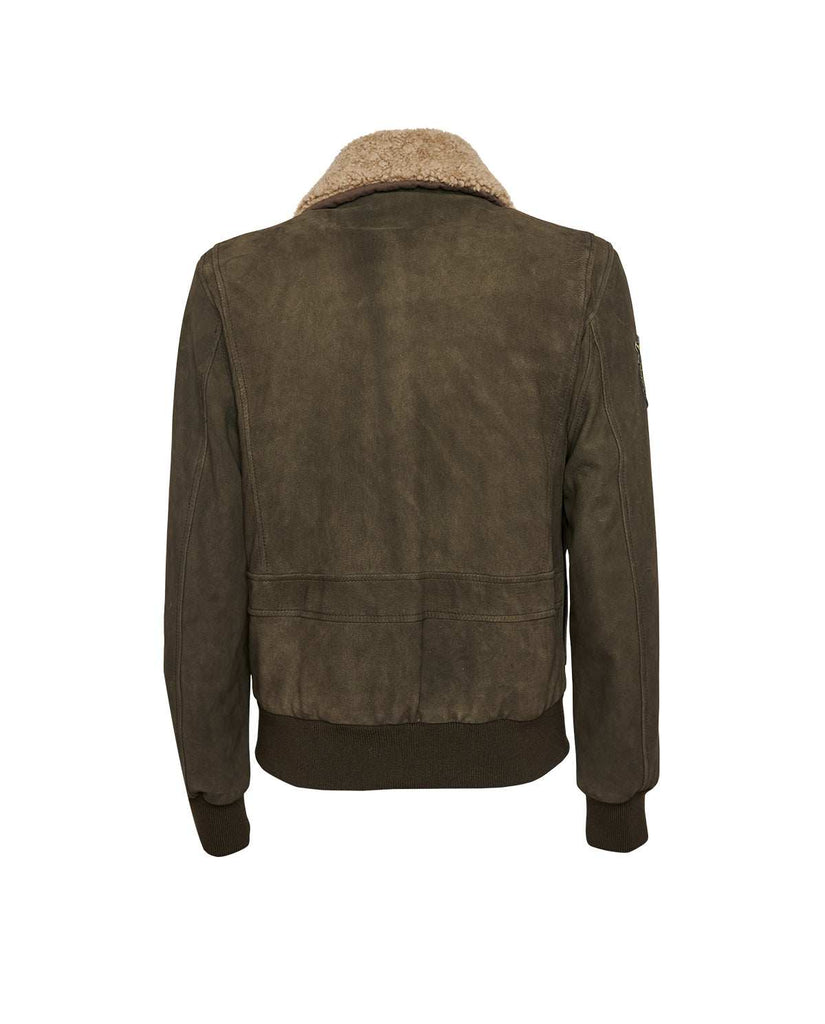 Stewart TORNADO-CHEVRETTE SKIN REMOVABLE COLLAR Offerta
