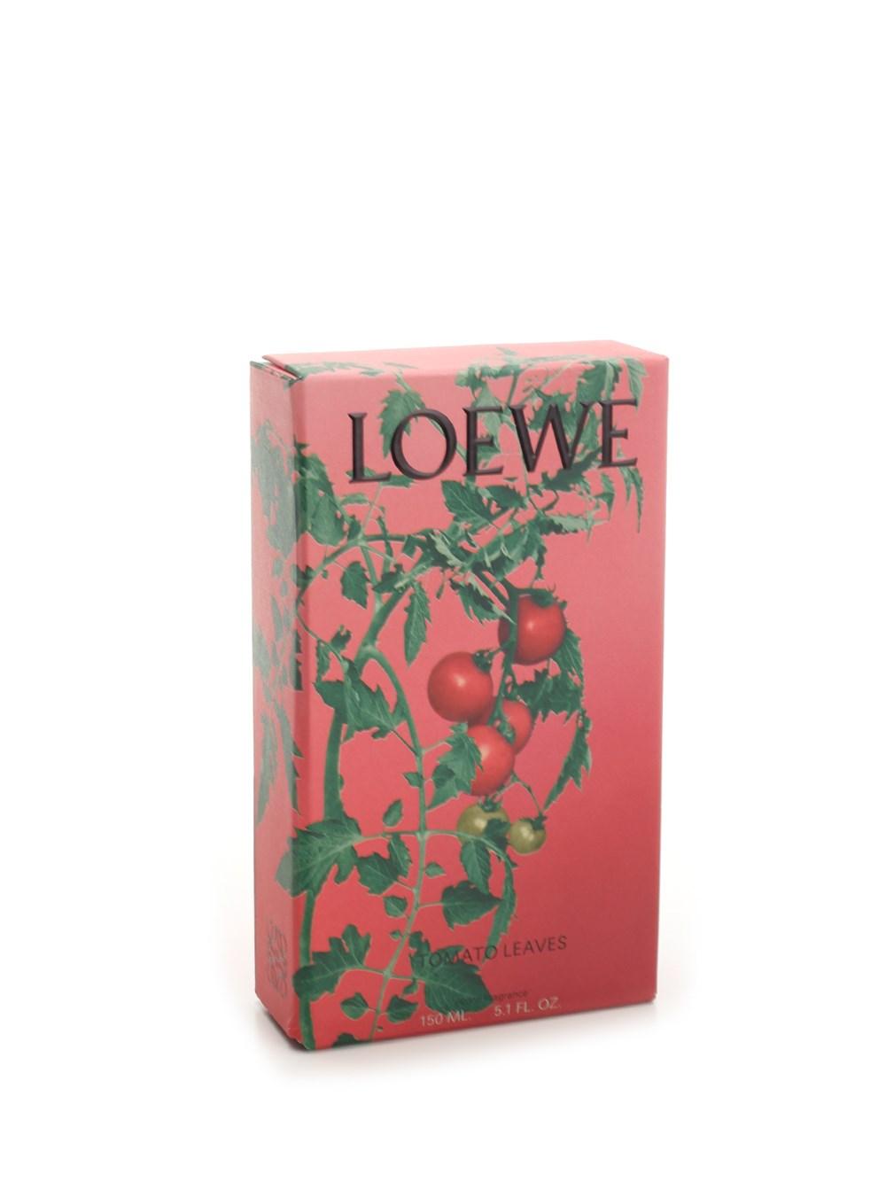 Al Duca D'Aosta Loewe Home Scents Fragranza per ambienti pomodoro Consegna Veloce
