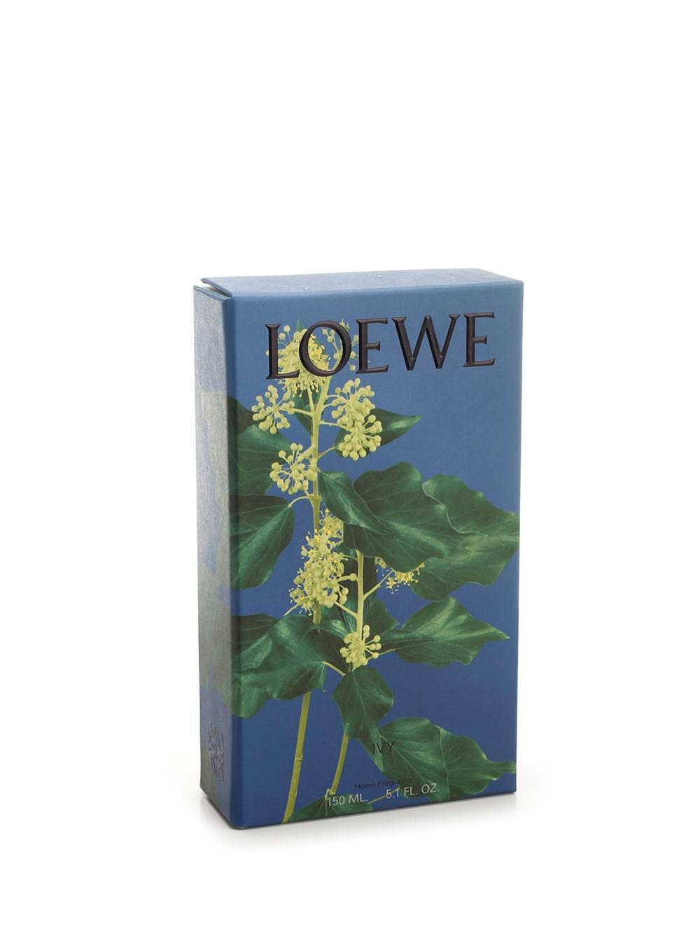 Al Duca D'Aosta Loewe Home Scents Fragranza ambienti edera Promozione Limitata